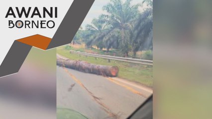 Suami isteri nyaris maut, kenderaan dihempap balak