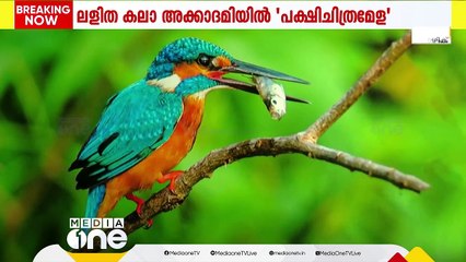 'പാടിപറക്കുന്ന മലയാളം'; ശ്രദ്ധേയമായി ചിത്രപ്രദര്‍ശനം