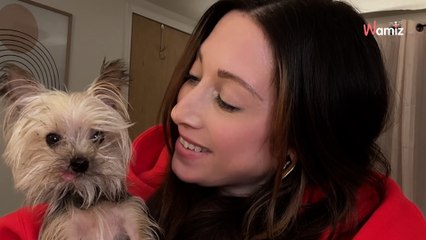 Avant d'abandonner son chien à contre-cœur, il pose une question déchirante aux sauveteurs (vidéo)