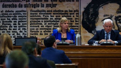 La ex pareja de Koldo no acude a la comisión de investigación del Senado