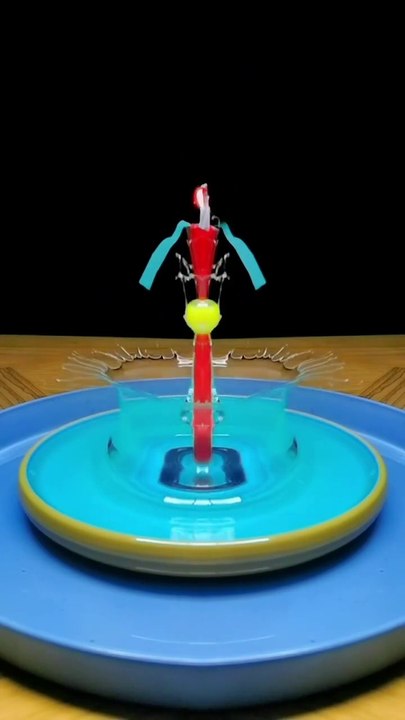 beautiful slow motion video