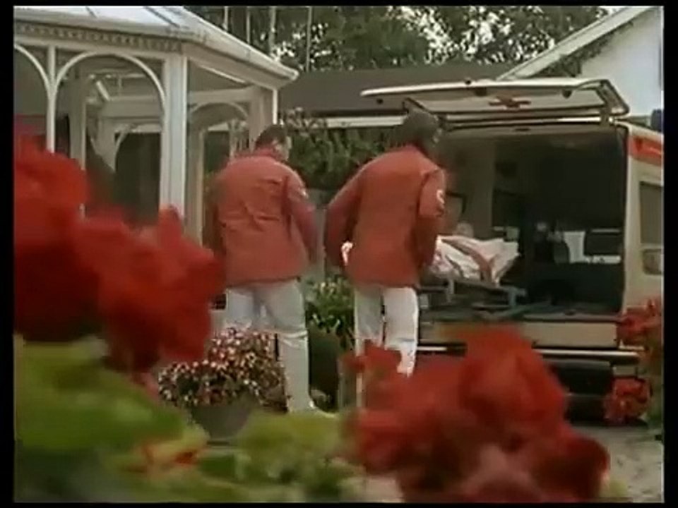 Das Erbe der Guldenburgs E20 - Der berühmte Gast