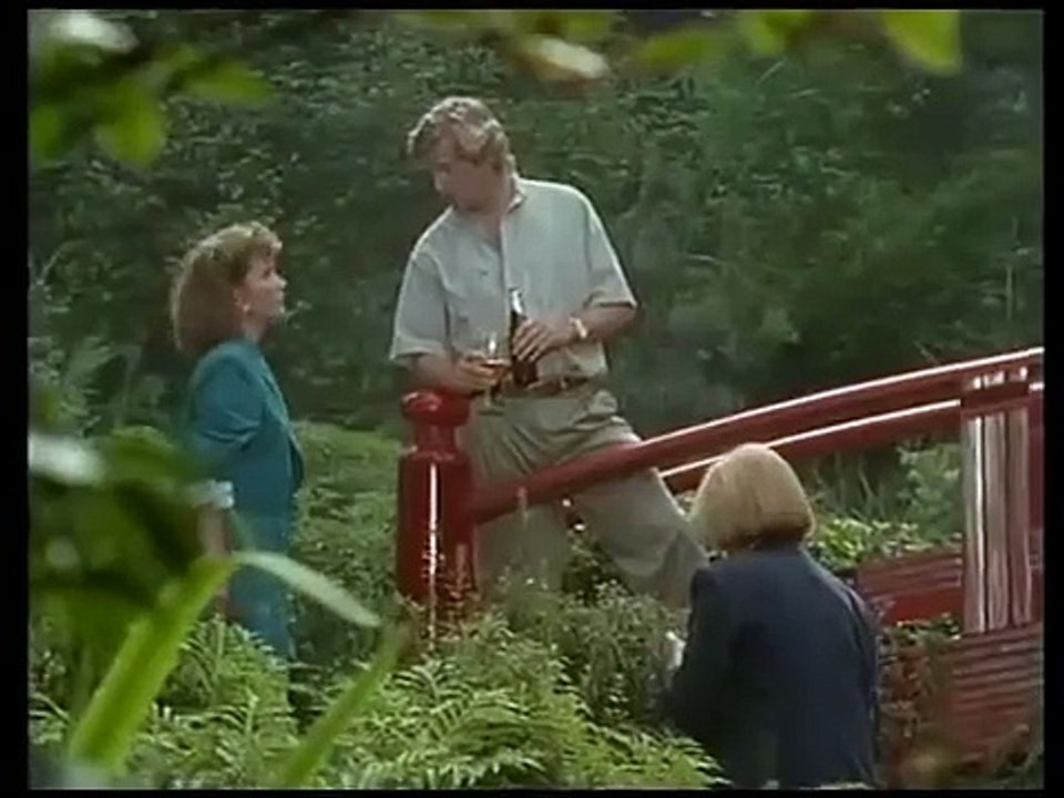 Das Erbe der Guldenburgs E25 - Die schöne Illusion