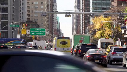 Trump lobt sich selbst: "Lang lebe der König"