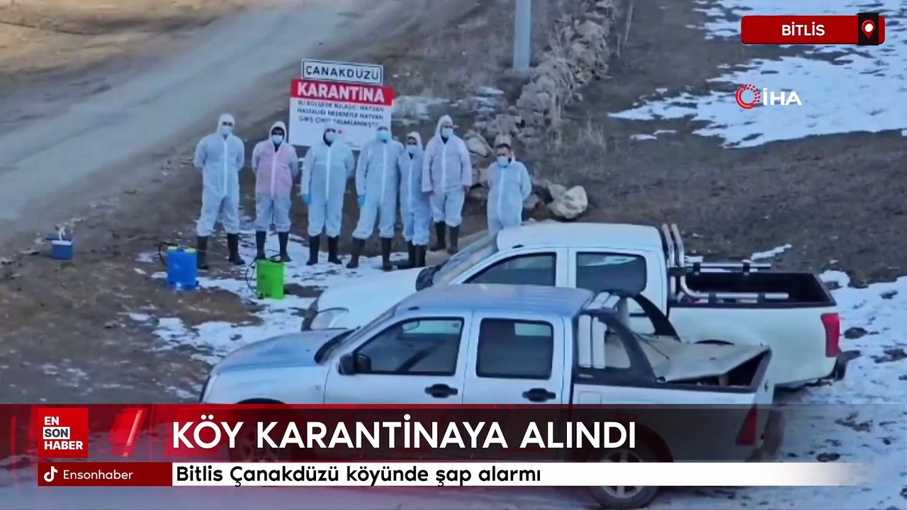 Bitlis Çanakdüzü köyünde şap alarmı: Köy karantinaya alındı
