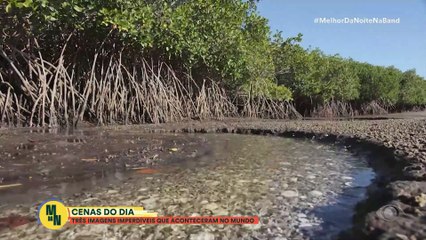 Cenas do dia: três imagens imperdíveis que marcaram o mundo | Melhor da Noite