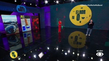 Golfinhos encalham na Austrália e mobilizam resgate urgente | Melhor da Noite