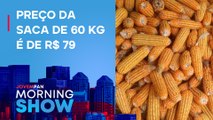 Milho mais CARO impacta no aumento do PREÇO do OVO
