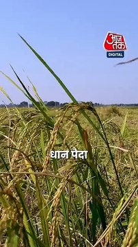 CM Mohan Yadav ने किसानों को दिया तोहफा