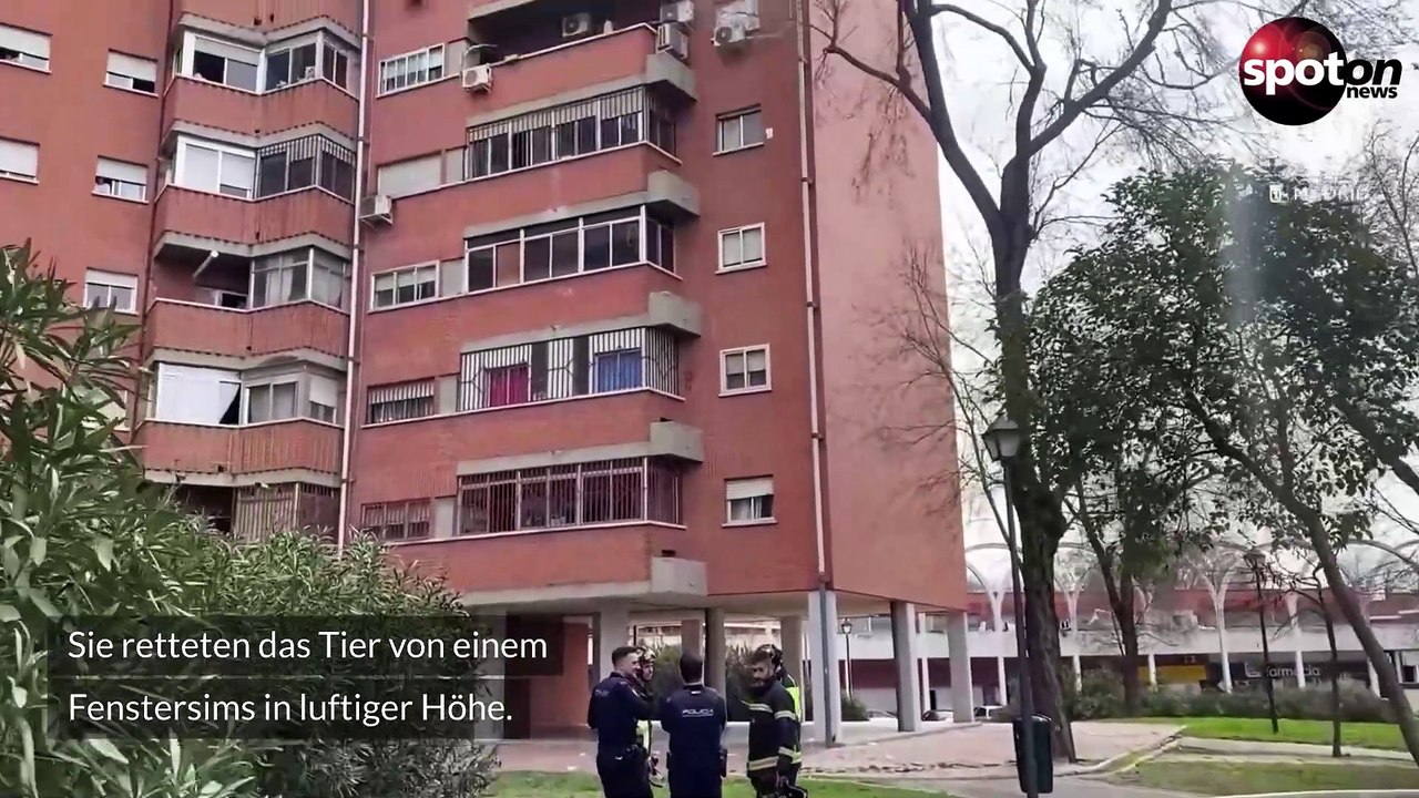 Feuerwehr rettet Ziege aus fünftem Stock