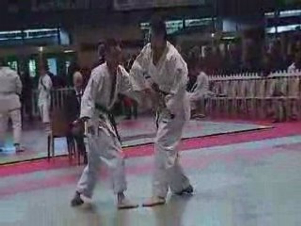 Coupe de france de taï jitsu 2008 Alençon_NET