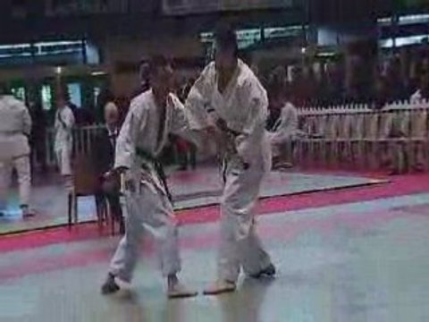 Coupe de france de taï jitsu 2008 Alençon_NET