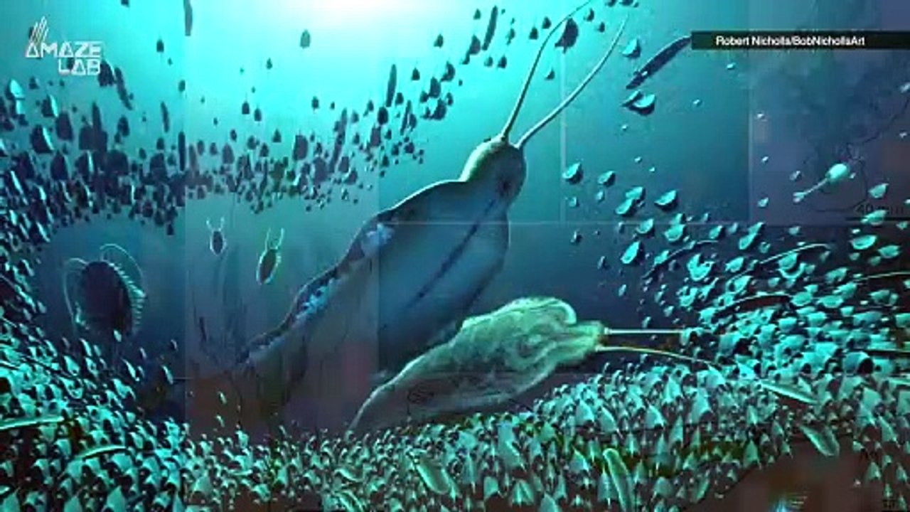 This Giant Worm Actually Ruled The Deep Oceans...