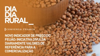 Novo indicador de preço do feijão: divulga diariamente valores de referência  para a comercialização