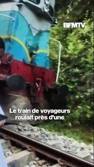 Sri Lanka: un train percute et tue six éléphants
