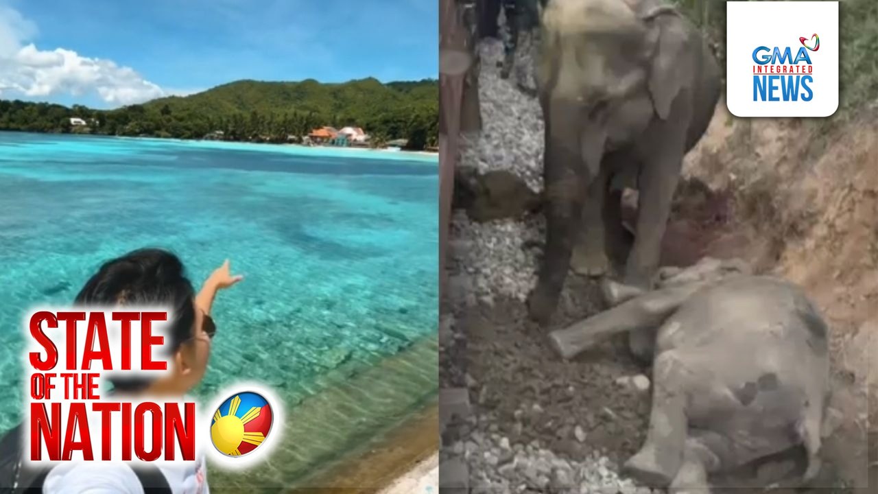 State of the Nation Part 1 & 2: Tree hugging; GMA Masterclass series; Atbp.