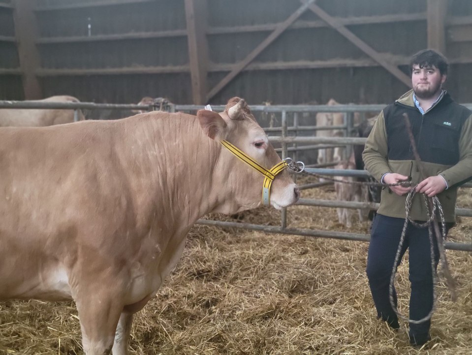 Près de Dieppe, Léandre Alexandre, passionné de concours, présente sa vache Saline au Salon de l’Agriculture
