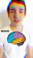 La nicotine et le cerveau 🤯