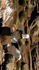 albatross facts
