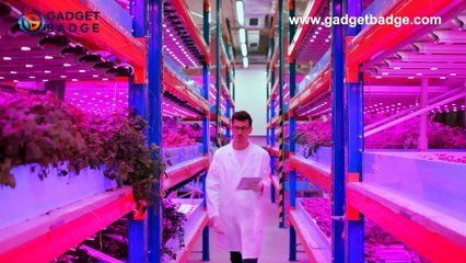 Revolutionizing Agriculture: Modern Farming Innovations!