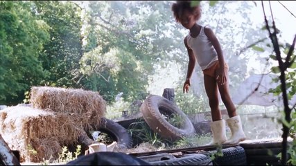 Les bêtes du Sud sauvage