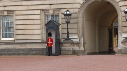 Look Around London - The King’s Guard