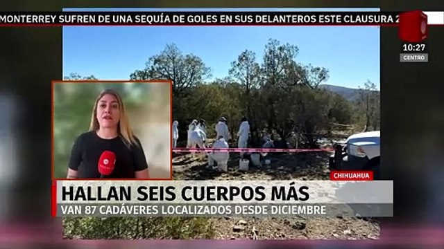 Hallan 6 cuerpos más en fosas de El Willy; suman 87 y faltan fosas por procesar