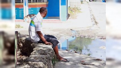 Casos confirmados de dengue se elevan a 1,113