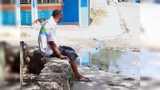 Casos confirmados de dengue se elevan a 1,113