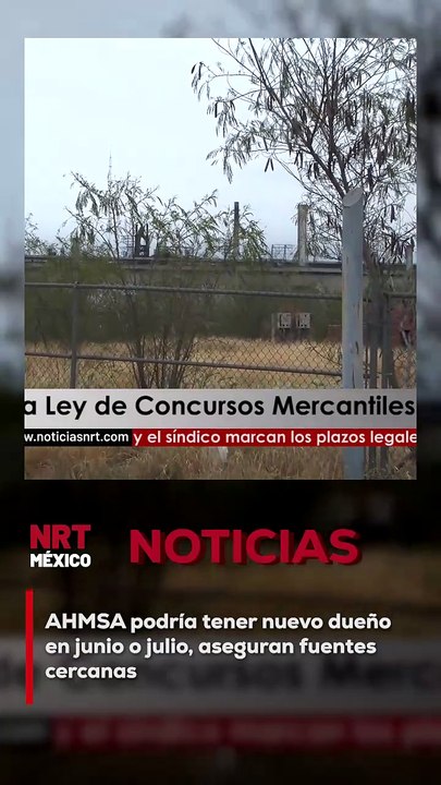 La siderúrgica Altos Hornos de México podría tener un nuevo dueño entre junio y julio, según fuentes cercanas a las negociaciones