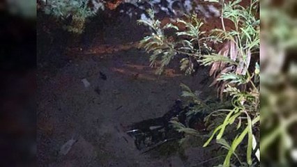 Dos fallecidos en accidente de tránsito en autopista Joaquín Balaguer