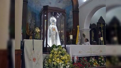 Veganos celebrarán día de la Virgen de las Mercedes