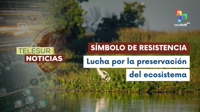 Guatemala busca salvar especies en peligro de extinción