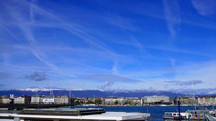 Genève - Lac et parcs. Mais qu'est-ce que je fou là _!_ N°17