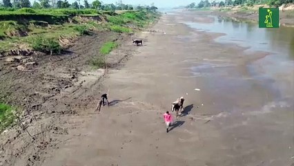 La Amazonía brasileña revive el drama de la sequía