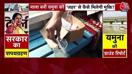 यमुना का पानी बना जानलेवा, TDS 700 के पार, खतरे में पड़ा मछलियों का जीवन