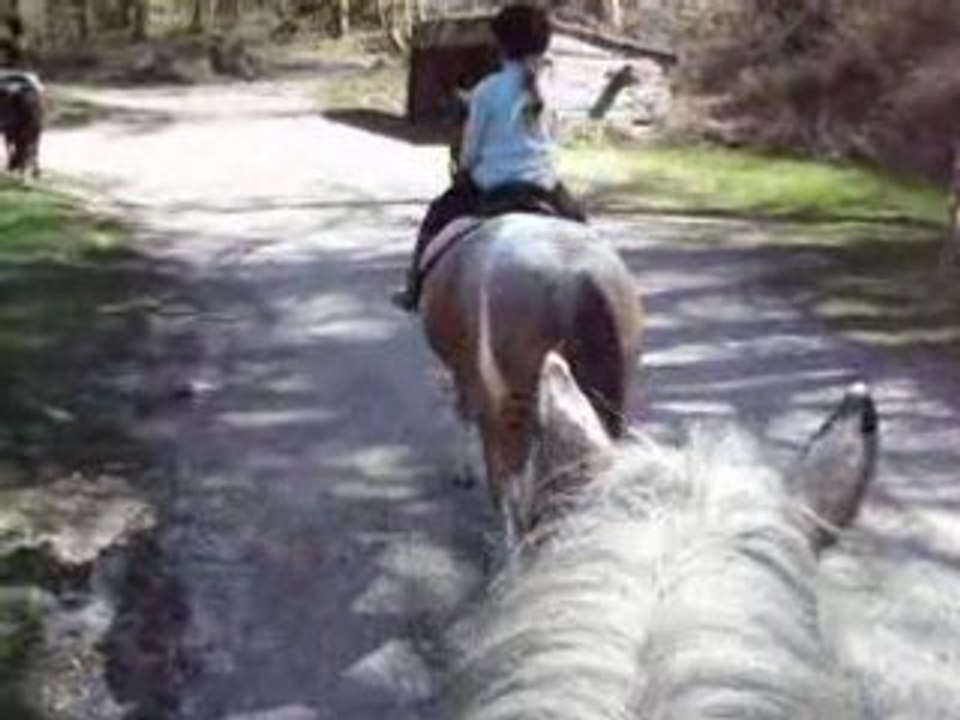 balade à cheval