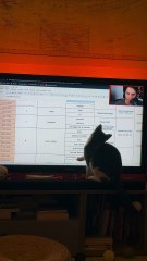 They really thought they had it 😂 Ils étaient sûr de l’attraper 😂