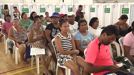 Cuidados com os pets no verão: evite o sol forte e proteja seu animal