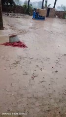 Beautiful rain day @karmawala shorts videos