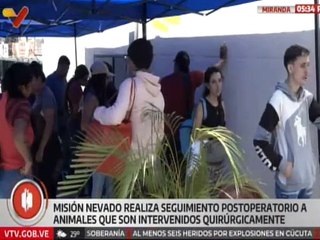 Miranda | Misión Nevado realiza jornada de esterilización a más de 500 gatos