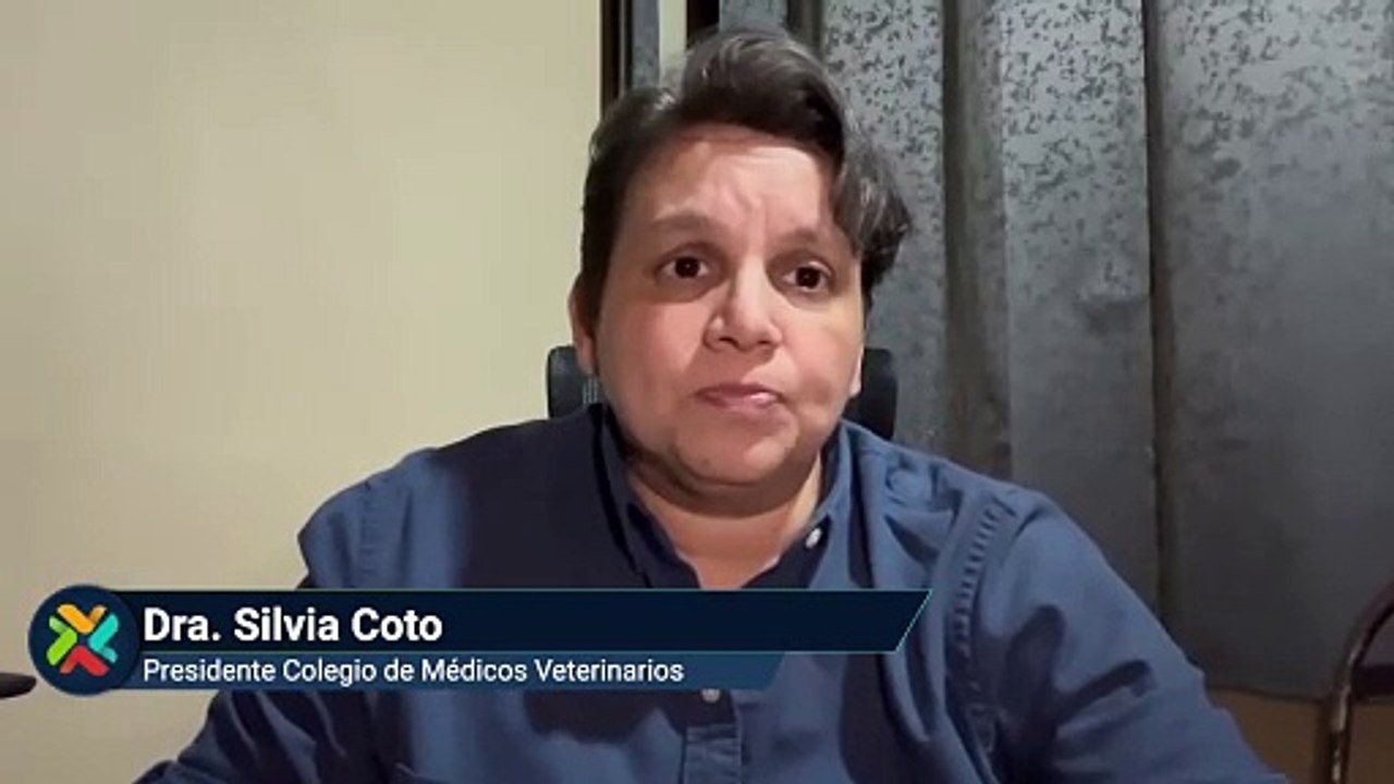 Declaraciones Colegio de médicos veterinarios 4
