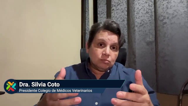 Declaraciones Colegio de médicos veterinarios
