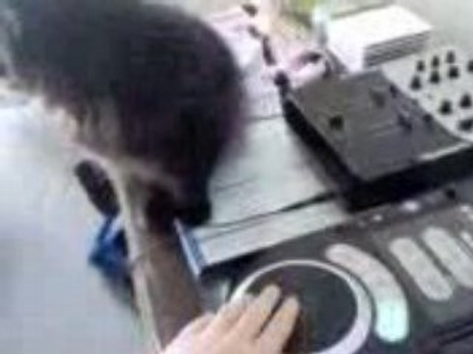 Le Chat de Ceeril Klein