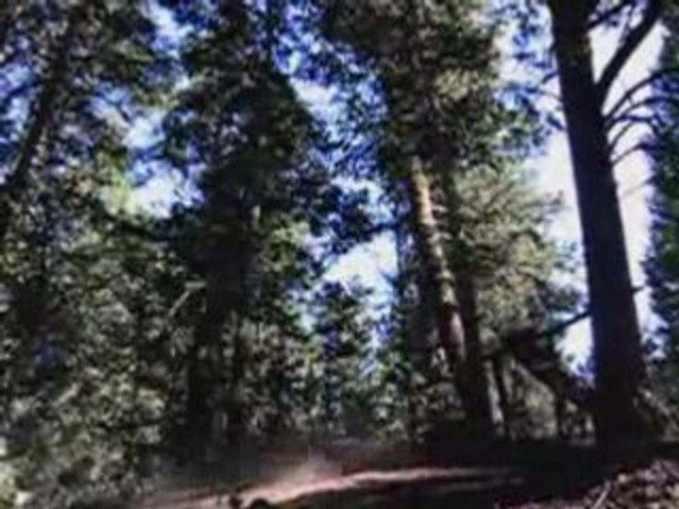 [mtb] Wade Simmons Freeride Experience 2005 [Goodspeed]