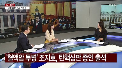 "25일 최종 의견 진술" 탄핵심판 마무리 수순...핵심 증언은 / YTN