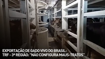 Exportação de gado vivo do Brasil: TRF - 3ª Região: "não configura maus-tratos"