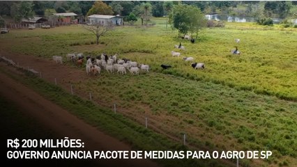 R$ 200 milhões: governo anuncia pacote de medidas para o agro de SP