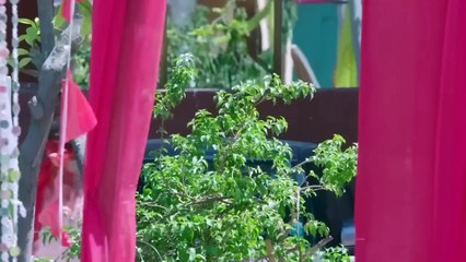 36. Naati Pinky (Ki Lambi Love Story), en español