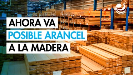 Trump también añade a la madera a su lista de bienes que sufrirán aranceles "en marzo o antes"